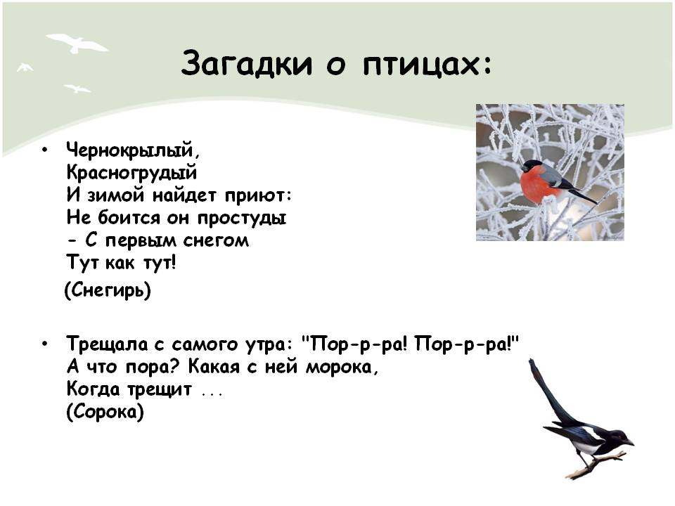 Загадки про птиц и животных зимой из статьи Новогодние загадки