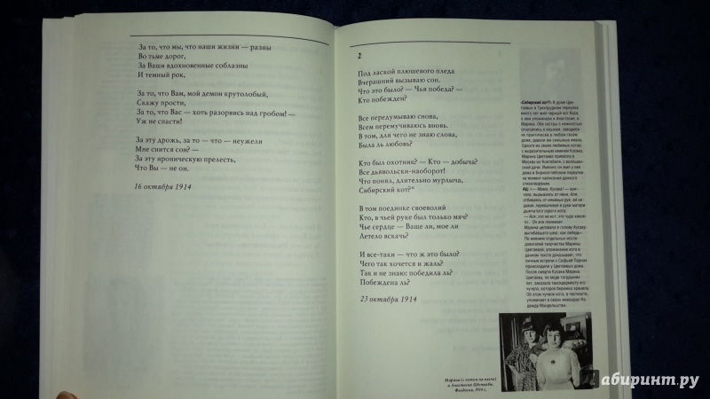 Анализ стихотворения марины цветаевой «мне нравится, что вы больны»: история создания, темы и композиция