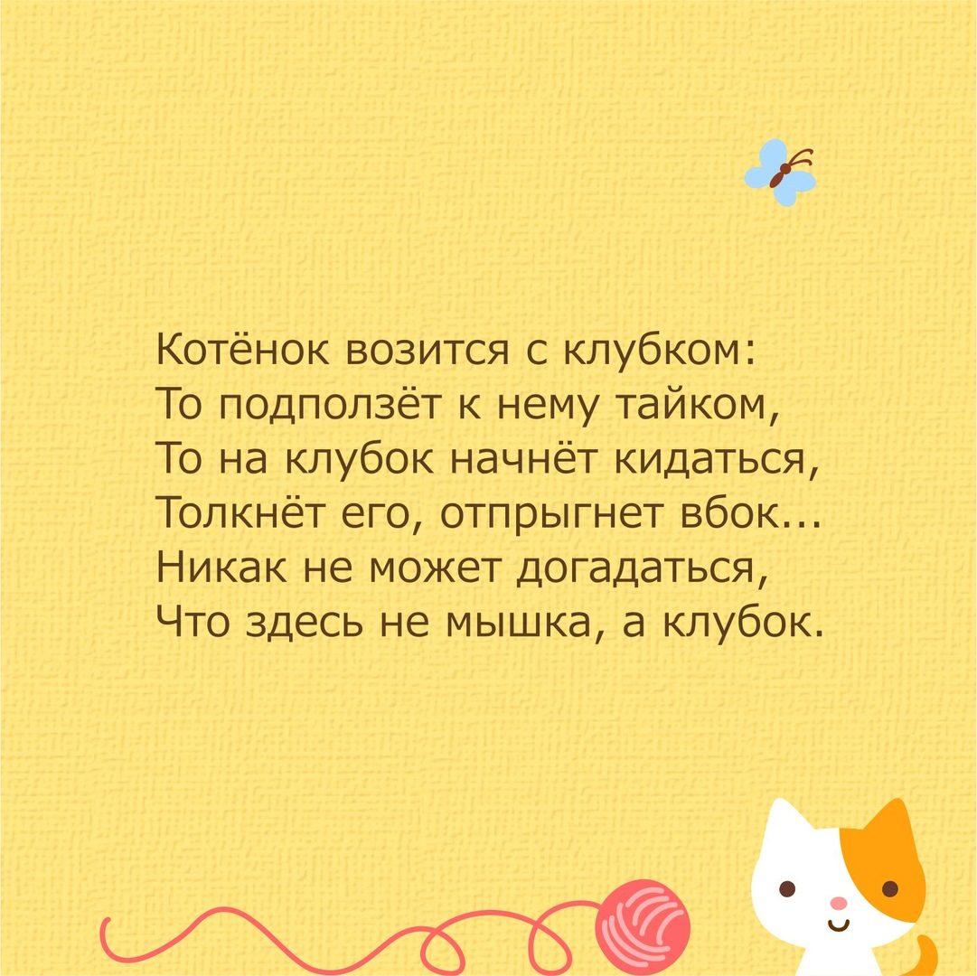 Стихи про котов, кошек и котят