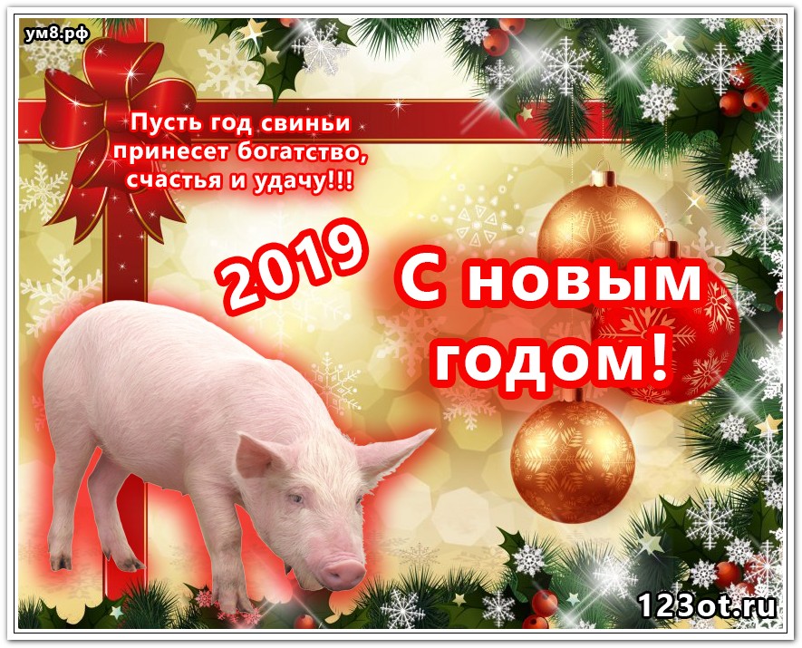Короткие поздравления с новым 2019 годом свиньи (кабана) в стихах и прозе: красивые, смешные прикольные, лучшие
