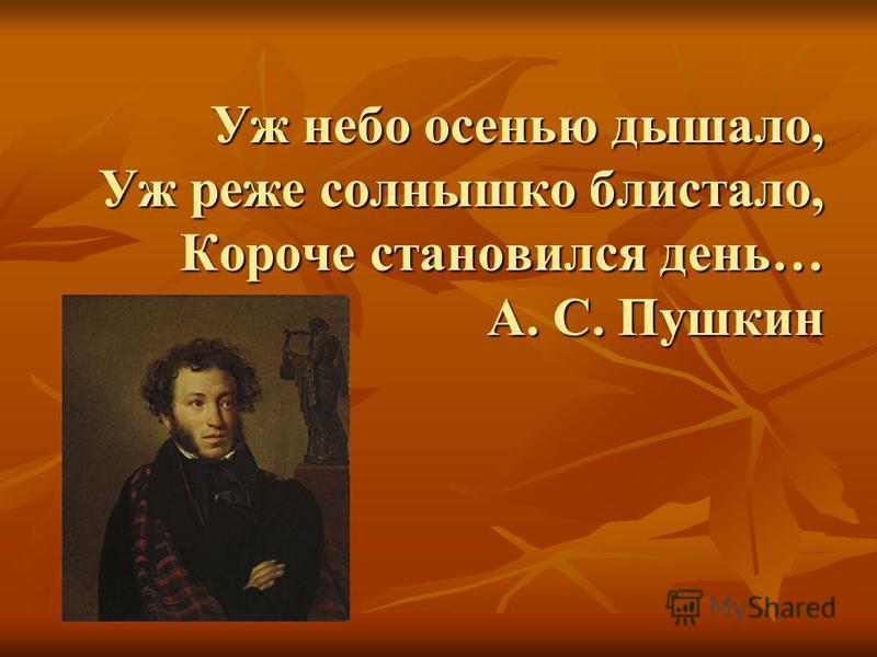 Стихи пушкина - любимые и известные | rl разные люди