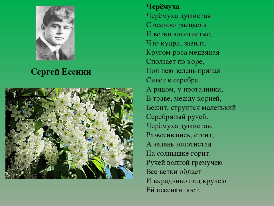 Орлов Владимир - стихотворение Мамин праздник