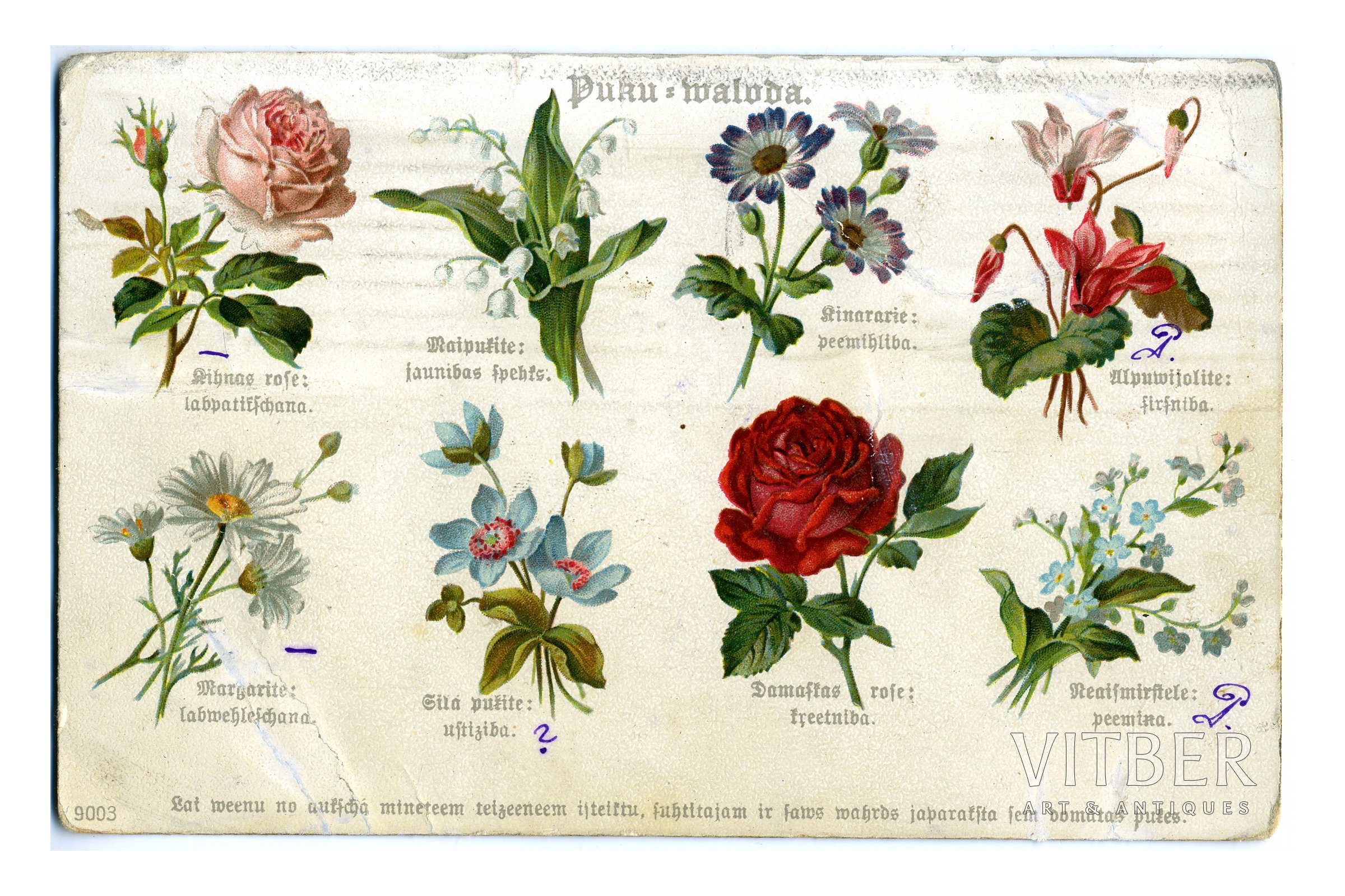 Что символизируют белые цветы – роза, лилия, ромашка и другие 15 видов цветов