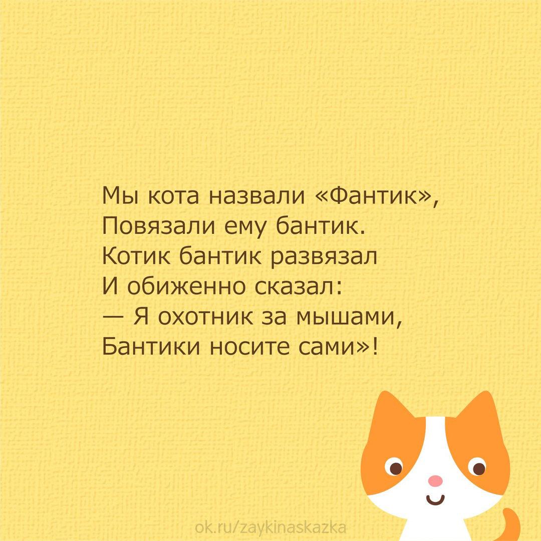 Стихи про кошку для детей | 27 забавных стихов про кота