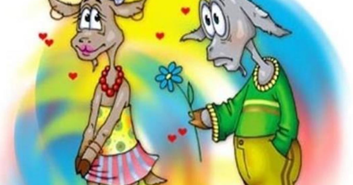 Блог галины кушманцевой: коза решила выйти замуж (немного юмора)