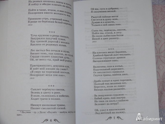 Пример анализа стихотворения. план анализа стихотворения: тема, сюжет и композиция, основная мысль :: syl.ru