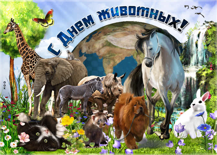Всемирный день защиты животных | fiestino.ru