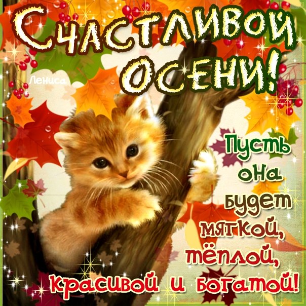 Короткие  поздравления с осенью (в стихах) — 23 поздравления — stost.ru