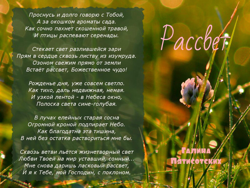 «я рад, что мой баку цветёт и процветает» - поэт петр давыдов приехал на родину спустя 28 лет - видео - ednews.net