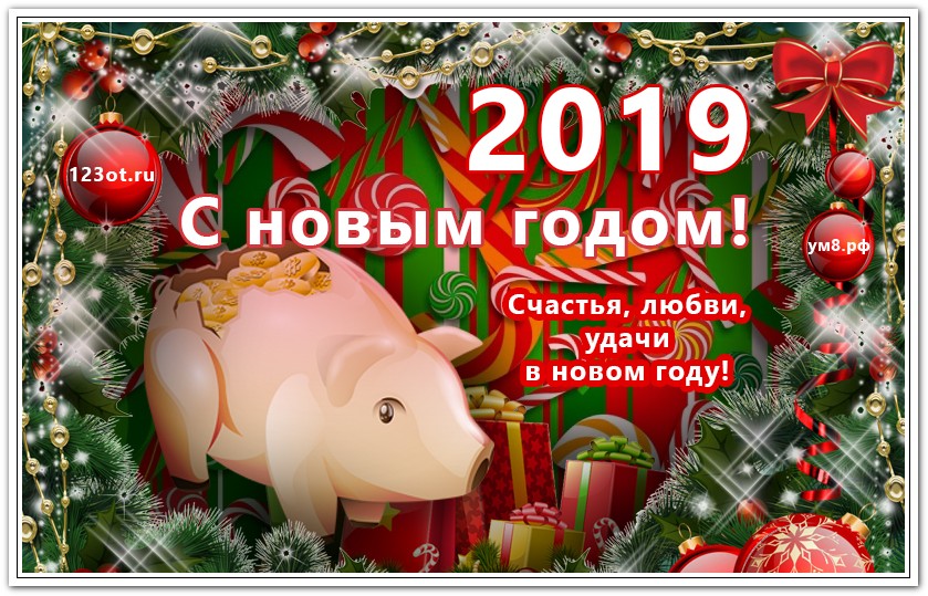 Поздравления с новым годом 2019 свиньи: прикольные стихи и проза