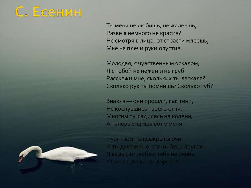 Есенин - ты меня не любишь, не жалеешь (стих): читать стихотворение сергея есенина на рустих