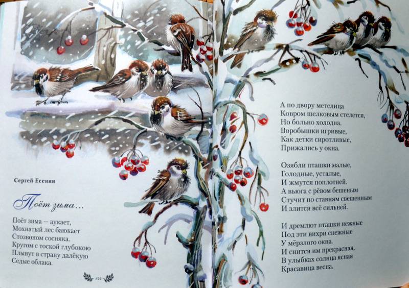 Стихи про зиму. короткие и красивые стихи про зиму для детей