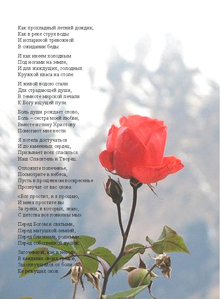 Текст в начале лета время словно застывает. Стихи про цветы. Цветок цветы стих. Красивые стихи о цветах. Стихи про цветы красивые.
