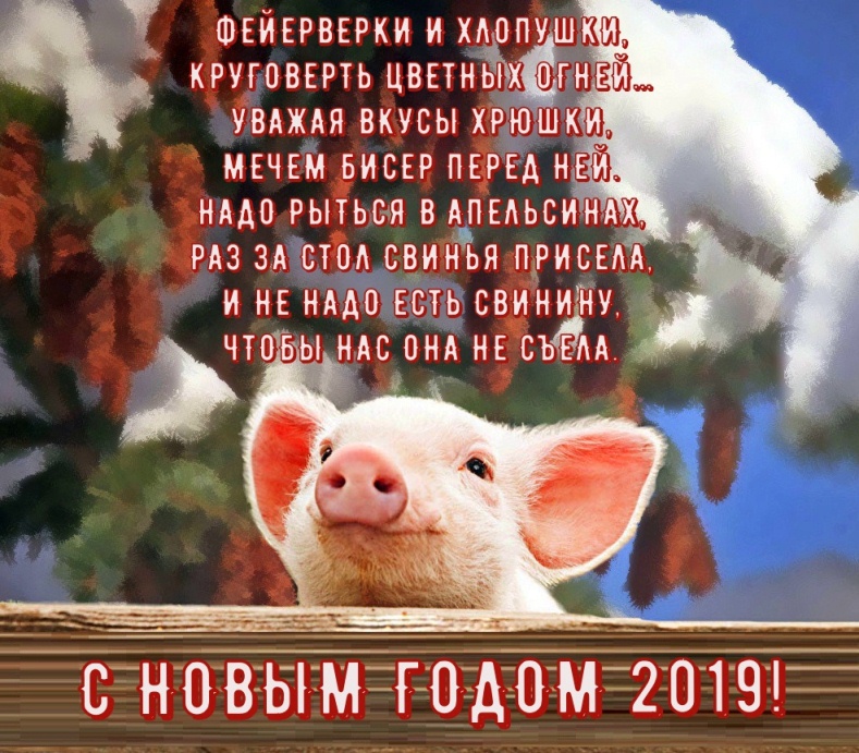 Поздравления с новым годом свиньи(кабана) 2019