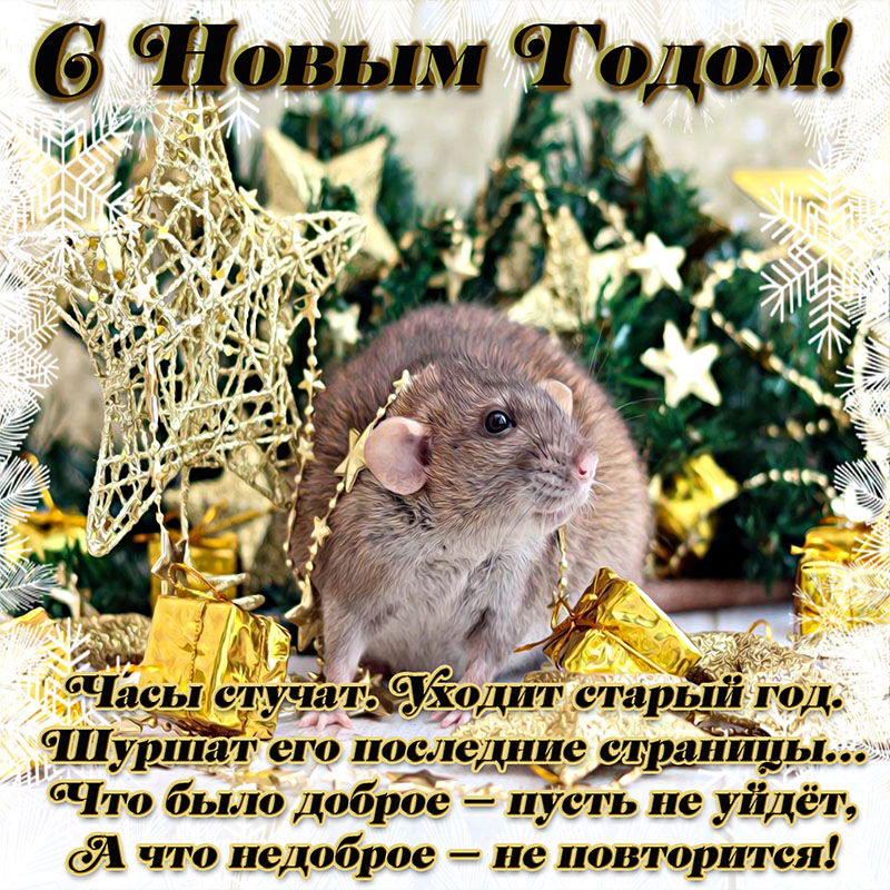 Новогодние открытки с мышками и крысами, поздравления с новым годом 2020