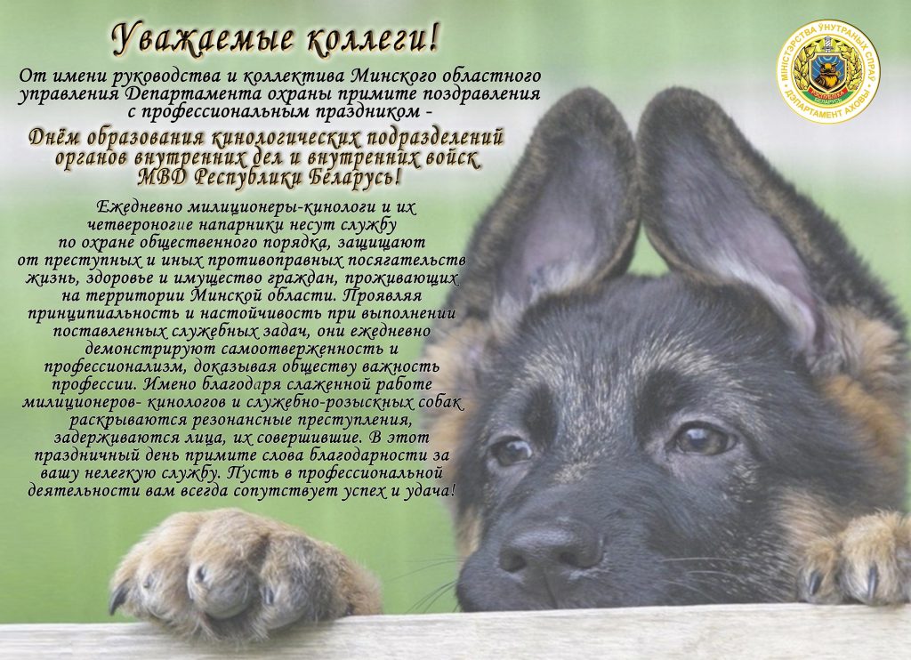 2 июля – день собаки: красивые открытки, поздравления - трогательные стихи про собаку к международному дню собак