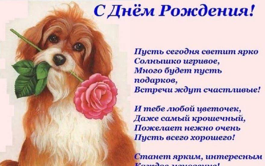 Поздравления с днем рождения внучке своими словами - пздравик.ру